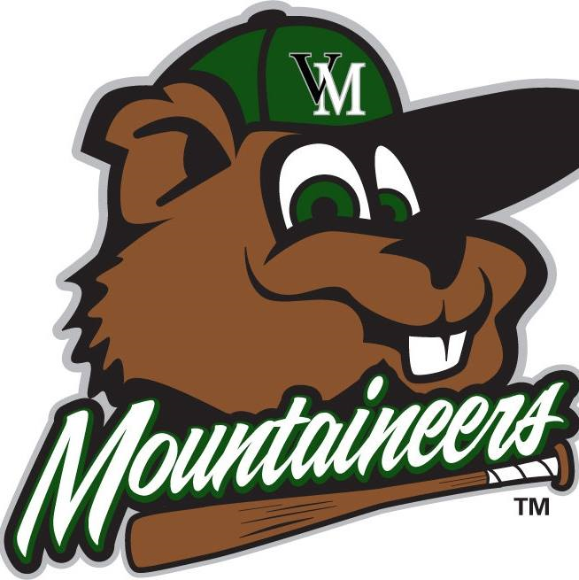 Vermont Mountaineers 2010-Pres Alternate Logo iron on heat transfer